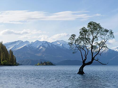 Wanaka Tree Lake Mountains Art Print