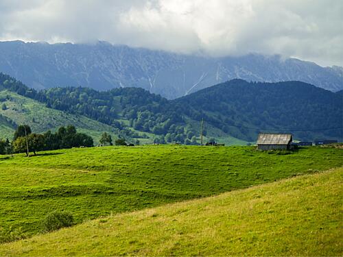 Green Mountain Pasture Art Print
