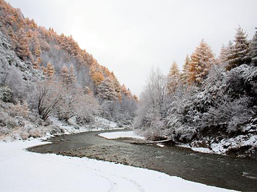 Golden Winter Stream Gold Print
