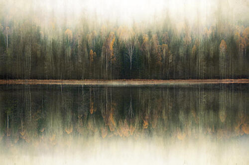 Misty Forest Reflection Art Print