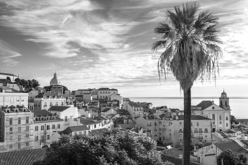 Black White City Vista Art Print