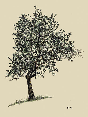 Deciduous Tree 1924 Art Print
