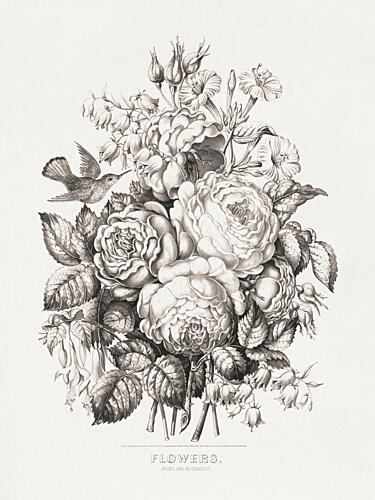 Roses and Bluebells 1870 Chromolithograph Art Art Print