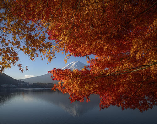Mount Fuji Autumn Reflection Gold Print
