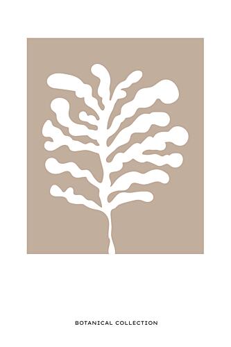 Botanicalcollection Art Print