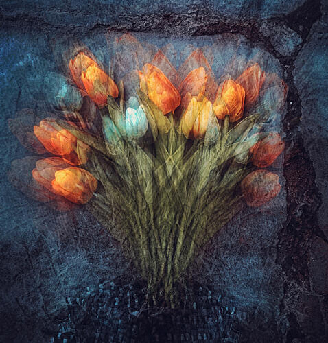 Ethereal Orange Tulips Art Print
