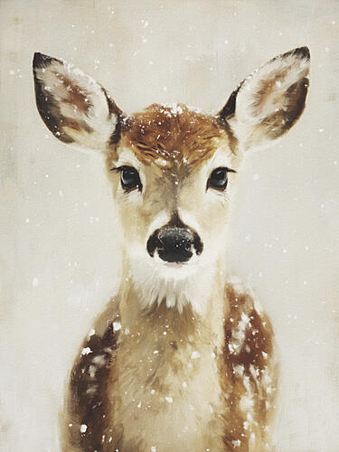 Gentle Winter Fawn Art Print