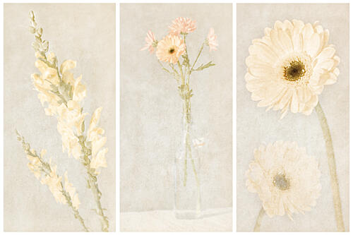 Faded Floral Triptych Art Print