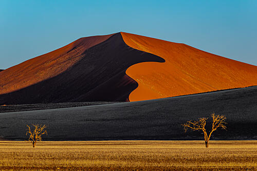 Golden Desert Dune Art Print by SiyuWei Apa