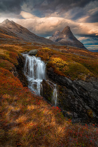 Vibrant Autumn Waterfall Gold Print