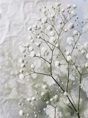 Delicate White Babys Breath Art Print