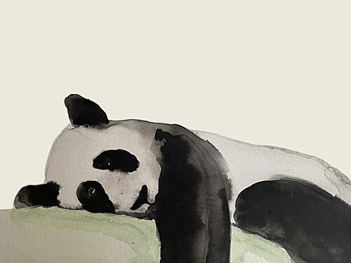 Peaceful Panda Nap Art Print