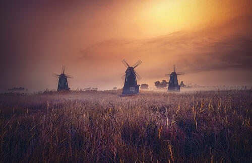 Misty Sunrise Windmills Gold Print