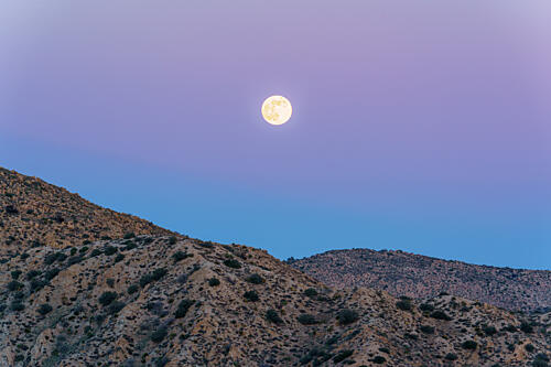 Full Cold Moon Supermoon Above Mountains in the Mojave Desert of California Art Print