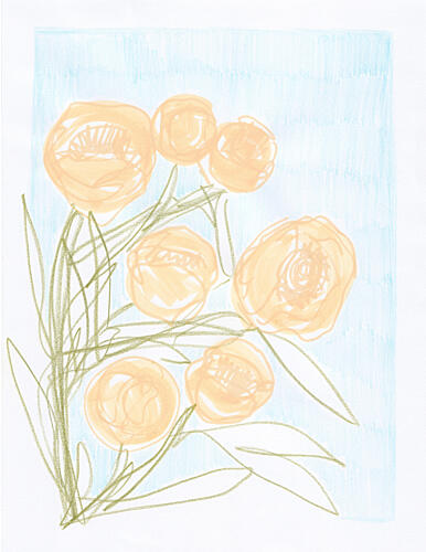 Gentle Orange Blooms Art Print