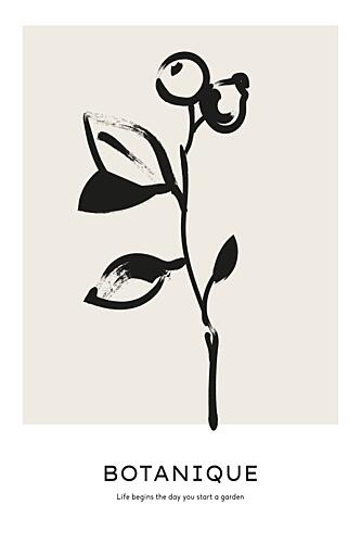 Botanique Art Print