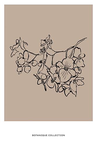 Botaniquecollectionno02 Art Print