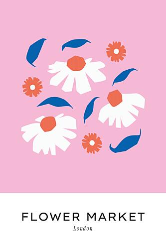 Studiobotanqueno04 Art Print