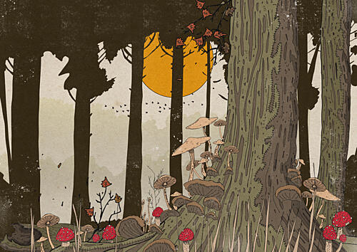 Enchanted Mushroom Forest Art Print