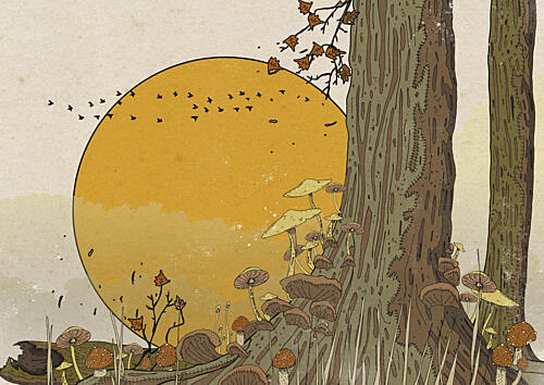 Golden Sun Forest Mushrooms Gold Print