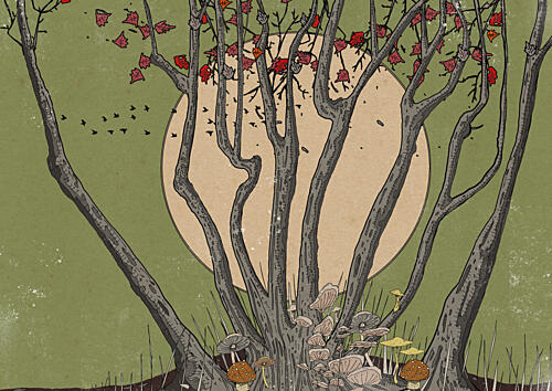 Autumn Trees Wild Mushrooms Art Print
