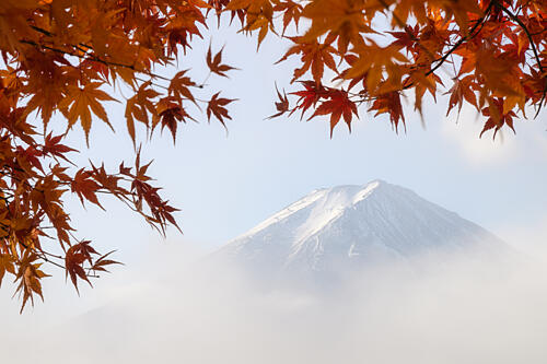 Misty Fuji Autumn Art Print by Dmitry Razr