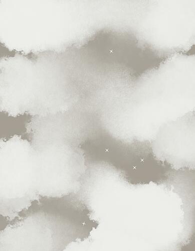 Gentle Starry Clouds Art Print