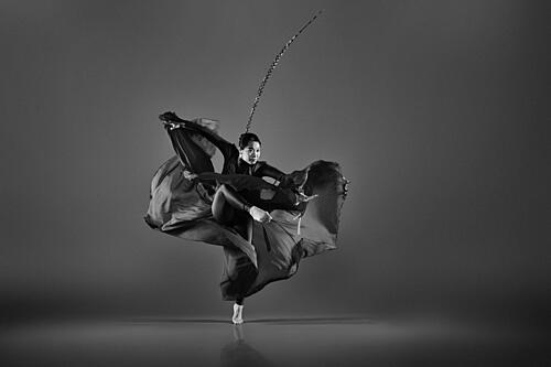 Dramatic Flowing Dance Art Print by Rob Li