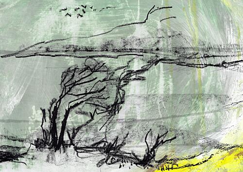 Windblown Tree Sketch Art Print