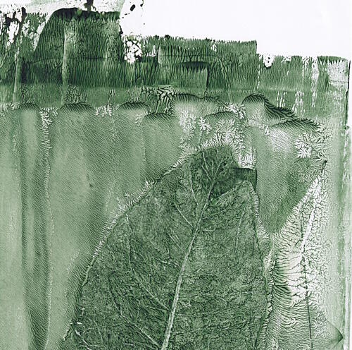 Green Leaf Impression Art Print