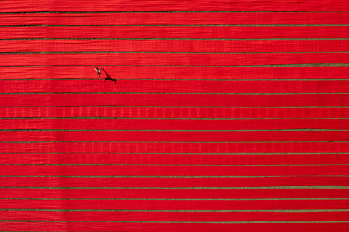 Red Field Lone Figure Art Print