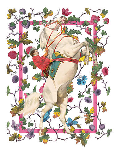 Floral Rococo Equestrian Art Print