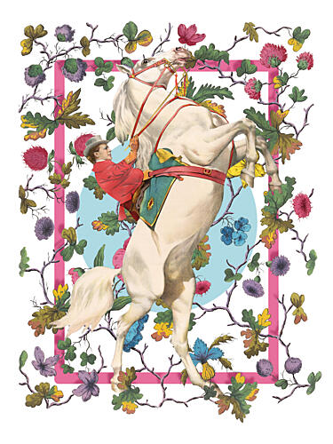 Rearing Horse Floral Frame Art Print