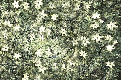 Delicate Garden Blooms Art Print