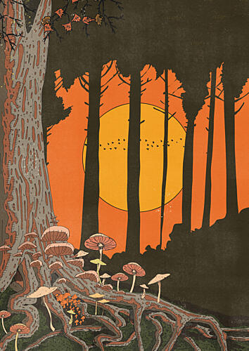 Twilight Mushroom Forest Art Print