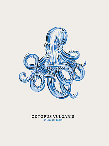 Blue Octopus Study Art Print