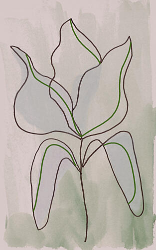 Minimalist Botanical Outline Art Print