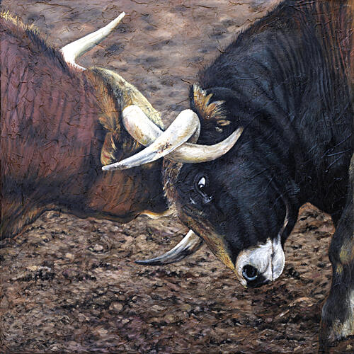 Clash of Bulls Art Print by Eduardo Jimenez Aguirre