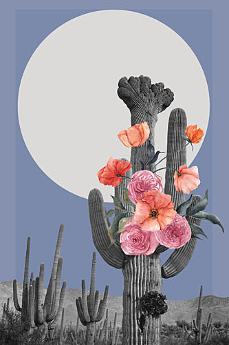 Desert Moon Blooms Art Print