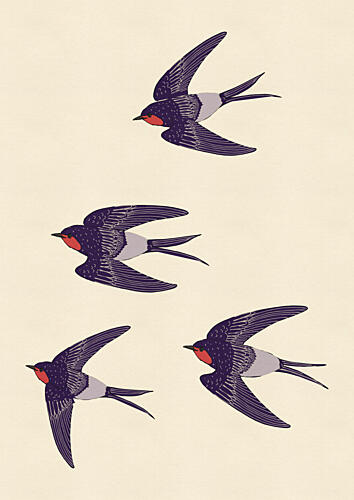 Barn Swallows in Flight Art Print
