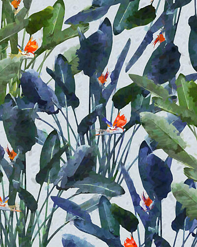 Tropical Paradise Blooms Art Print