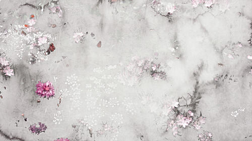 Soft Pink Blossoms Art Print by Miriam Stayte