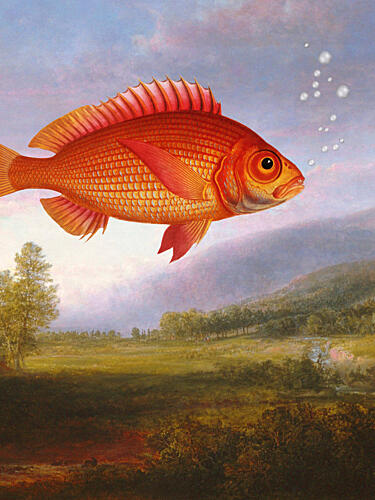 Flying Goldfish Dream Gold Print