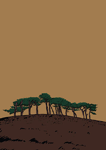 Graphic Hillside Pines Art Print