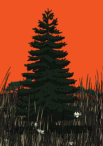 Dramatic Pine Sunset Art Print