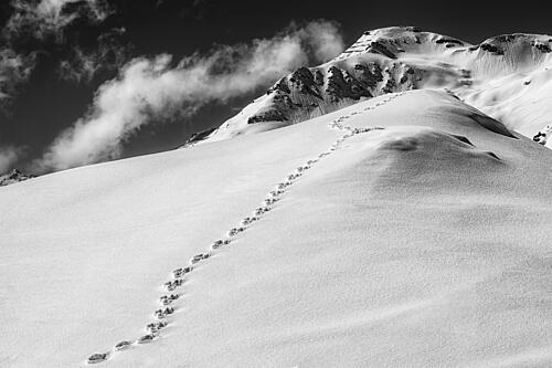Footprints up Snowy Mountain Art Print