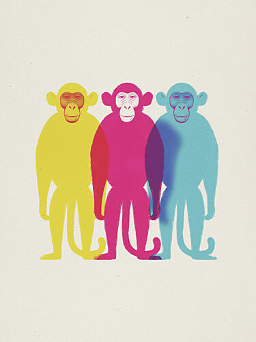 Pop Art Monkeys Pop art reproduction