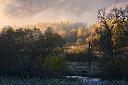 Golden Morning Fog Gold Print
