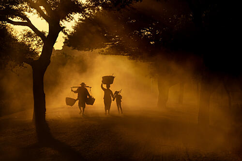 Misty Golden Walk Gold Print