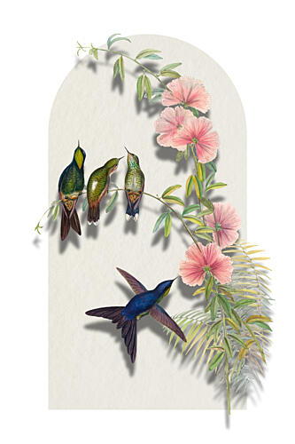 Tropical Hummingbirds and Blooms Art Print
